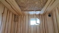 Продажа панно для бани и сауны 1000х1000 "можжевельник" 2d, нешлиф., кв.м. в Октябрьском  в интернет-магазине Vseizdereva